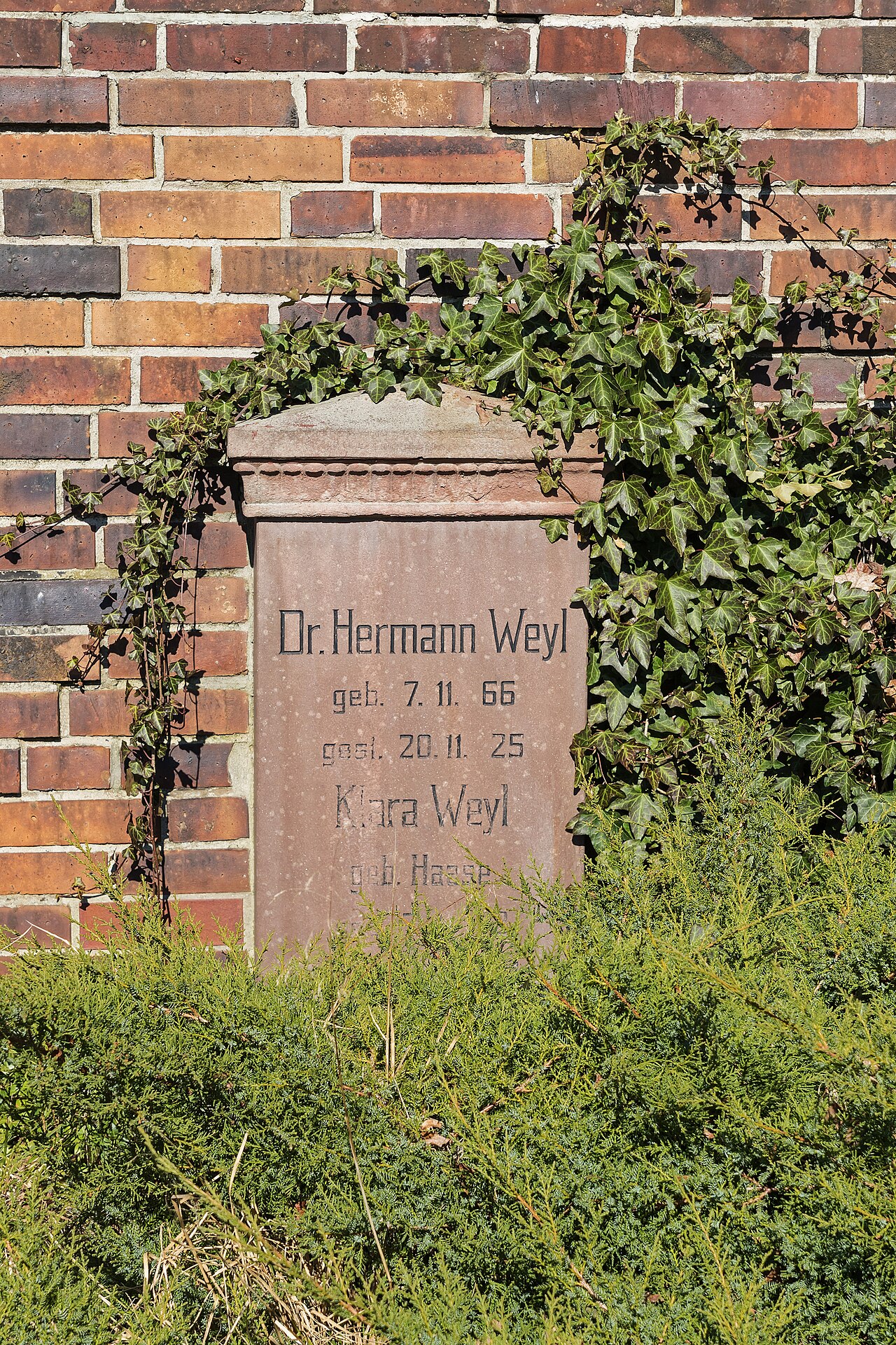 Hermann Weyl