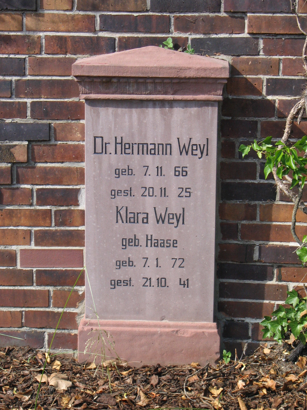 Hermann Weyl